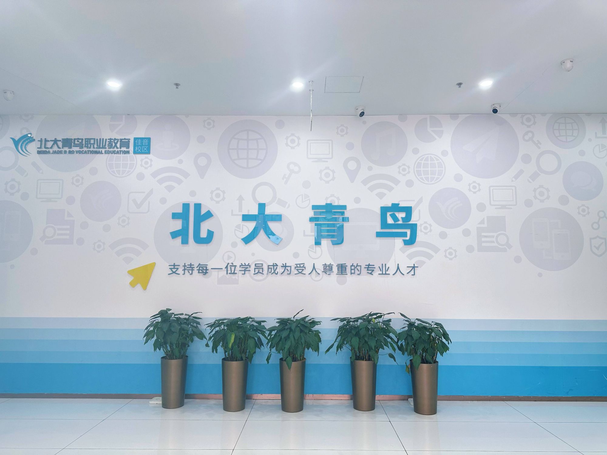 北大青鸟佳音校区vs其他校区：女生学IT哪家更适配