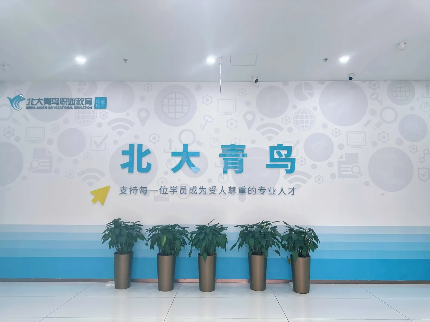 2026年北京北大青鸟是正规学校吗 沙河校区解析