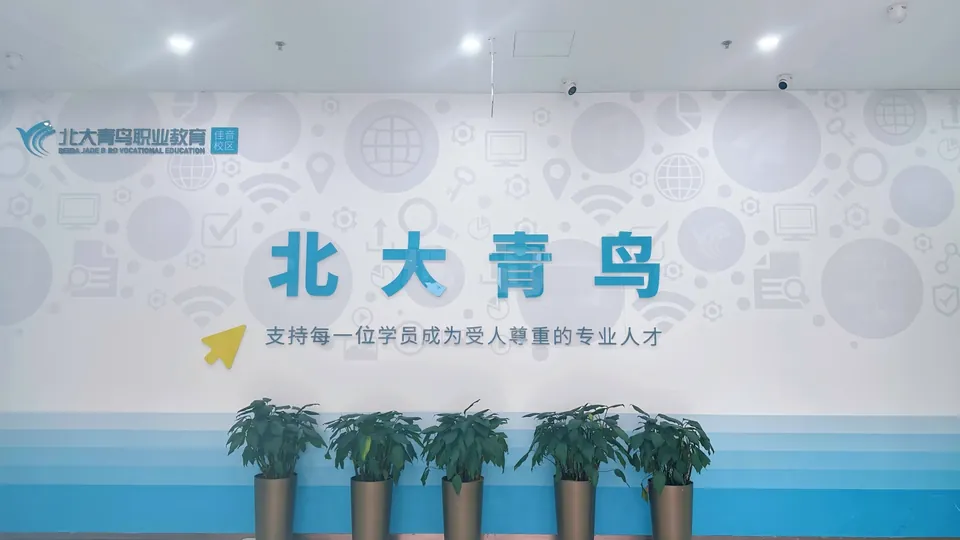 2026年北大青鸟佳音校区证书国家是否承认？