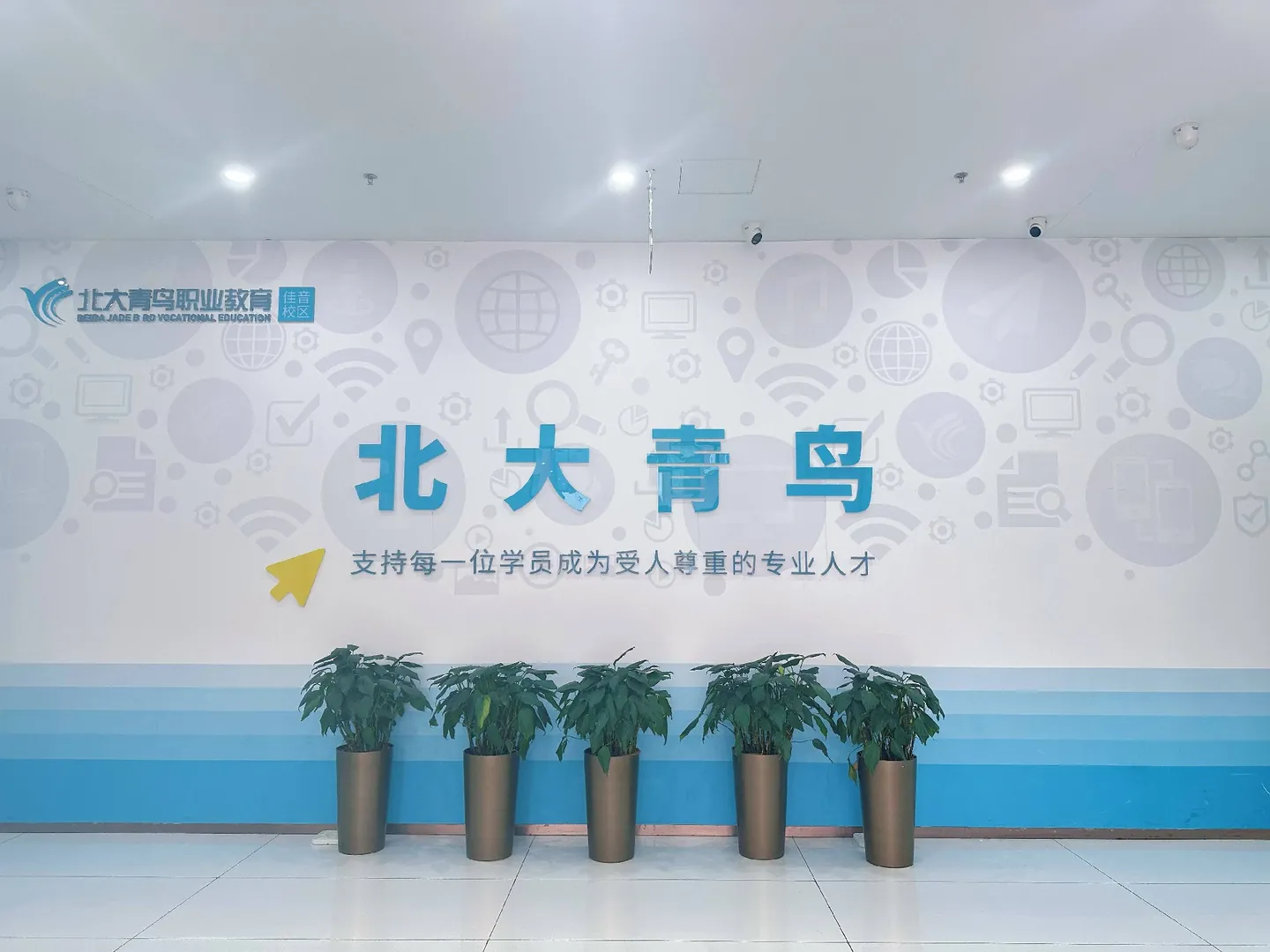 北大青鸟昌平沙河校区全方位解读