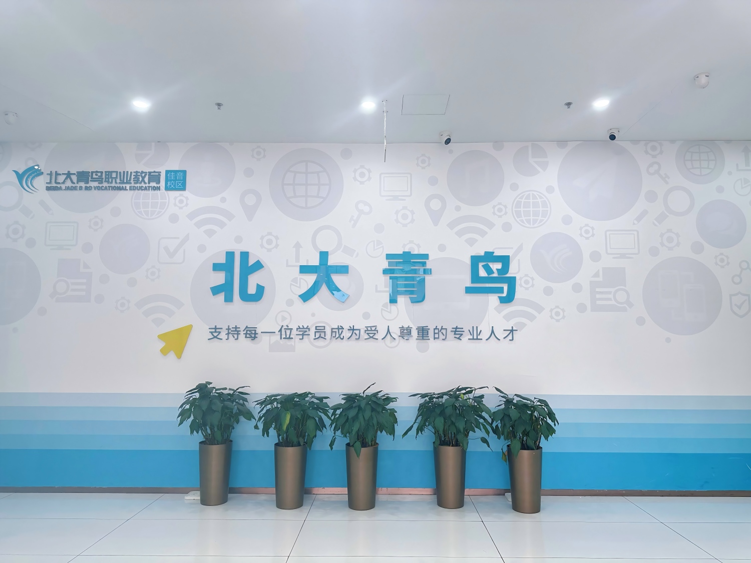 2026年北京北大青鸟哪家好？佳音体系三大直营校区全方位解析